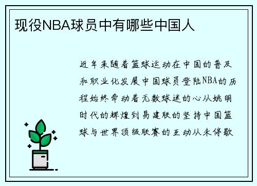 现役NBA球员中有哪些中国人