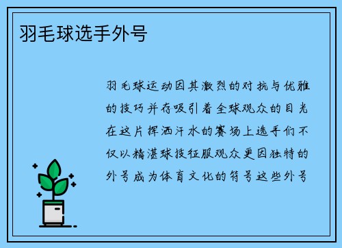 羽毛球选手外号